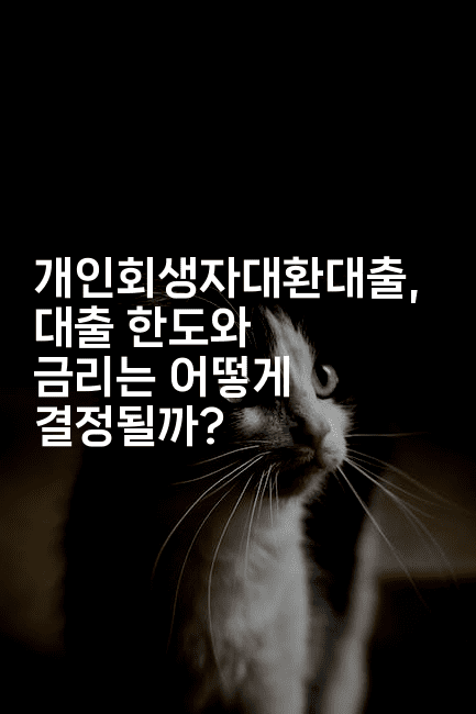 개인회생자대환대출, 대출 한도와 금리는 어떻게 결정될까?