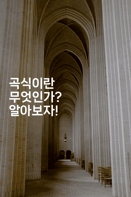 곡식이란 무엇인가? 알아보자!