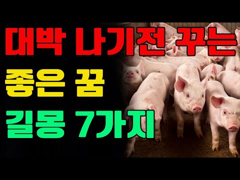 대박나기전 꾸는 좋은 꿈 길몽!이런꿈 꾸면 바로 복권사세요!