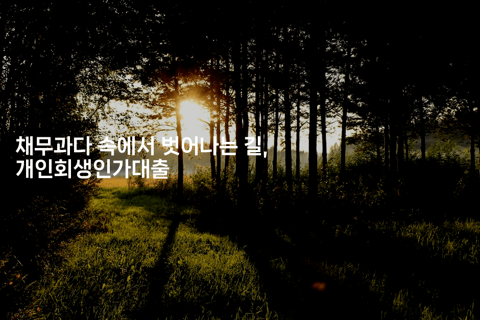 채무과다 속에서 벗어나는 길, 개인회생인가대출-꿈해몽