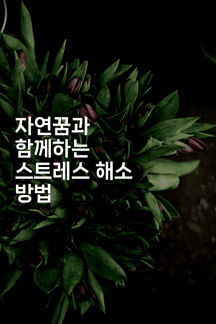 자연꿈과 함께하는 스트레스 해소 방법-꿈해몽