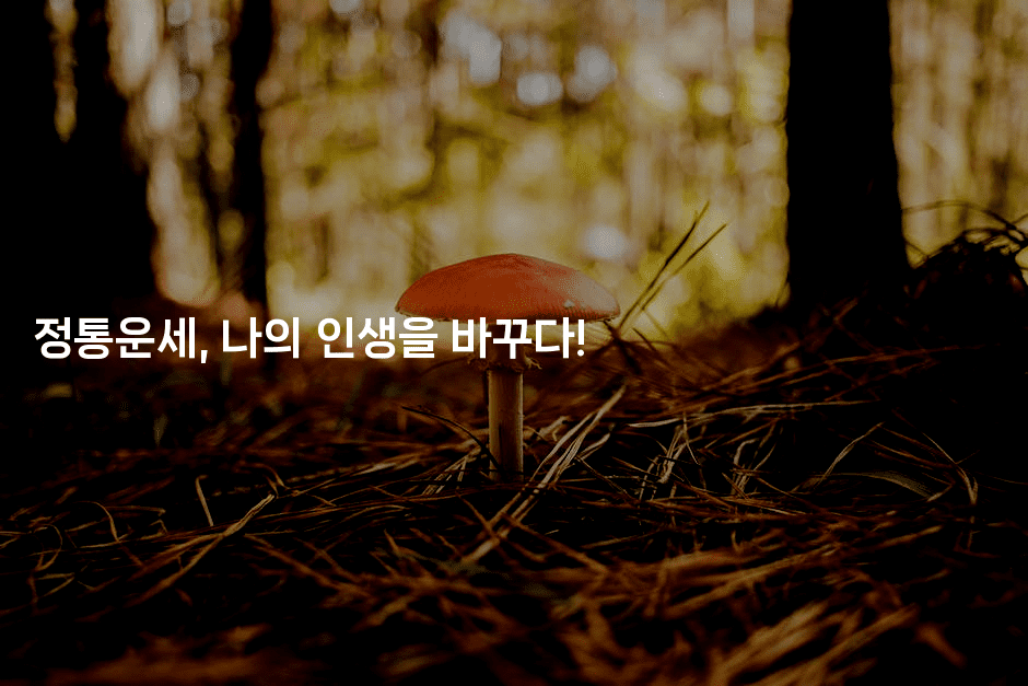 정통운세, 나의 인생을 바꾸다!2-꿈해몽