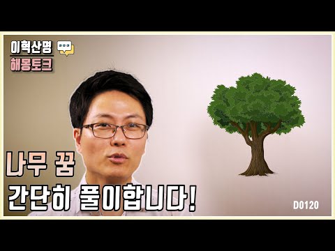 나무 꿈 해몽 초 간단 풀이