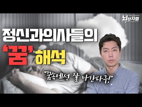 정신과 의사들이 말하는 꿈과 해몽의 원칙 [뇌부자들]