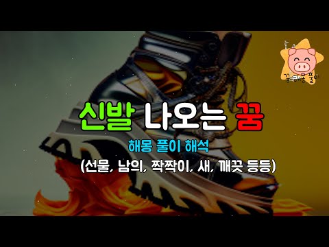 신발 꿈 해몽 풀이 상징 정리(선물, 남의, 짝짝이 등등)