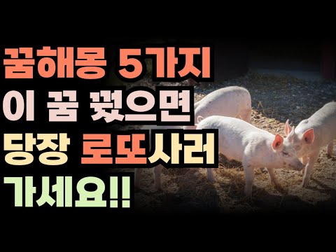 꿈해몽풀이 이런꿈 꾸면 로또를 사라구요??