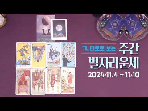 타로 |  24년 11월 첫째주 별자리 운세? (11/4~11/10)