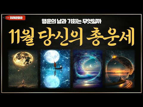 [타로]11월, 당신을 위한 타로운세 #11월운세 #잘될일