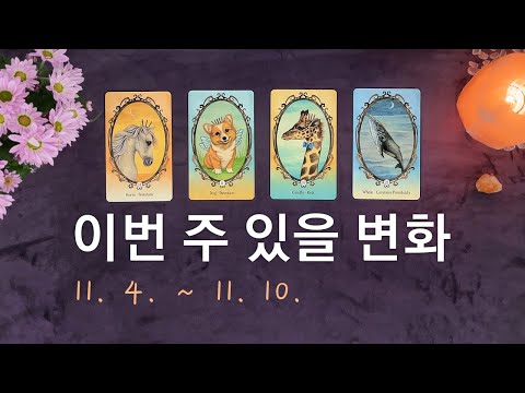 [타로/주간운세] 11월 첫째 주 종합운(11. 4. ~ 11. 10.)