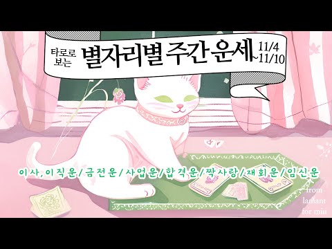 [타로/종합운]타로로 보는 주간 별자리 운세(전체운,합격운,사업운,연애운,금전운,재회운 등)11월4일~11월10일