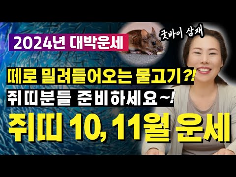 ?2024년 11~12월 쥐띠운세? 떼로 밀려들어오는 물고기?! 쥐띠분들 준비하세요~! [양평용한점집 청화신당]