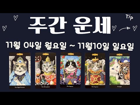 [타로/주간운세]11월 둘째 주/직장/금전/시험/관계/애정/자기 관리