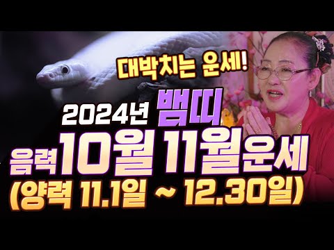 대박치는 운세! 2024갑진년 음력 10월 11월 뱀띠운세! (양력 11월 1일 ~ 12월 30일) [#자비원벼락대신]