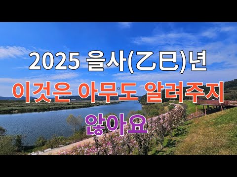 2025년 운세 (이런건 아무도 알려주지 않아요)