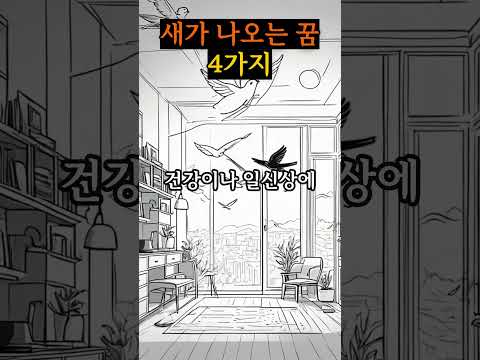 새가 나오는 꿈 해몽 4가지 새 잡는 꿈 큰 새 보는 꿈 죽은 새 보는 꿈 #꿈해몽 #꿈해석