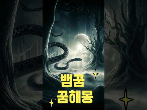 뱀꿈 관련 꿈해몽 10가지 -1탄