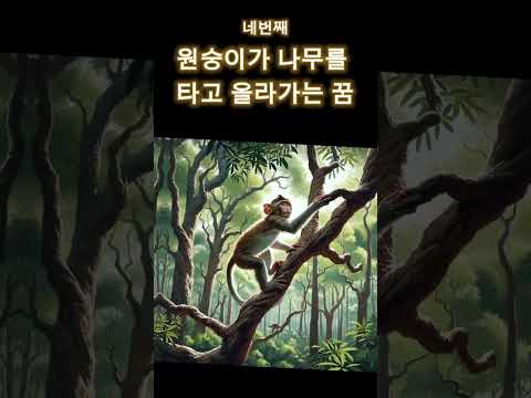 원숭이 관련 길몽 5가지 #꿈해몽 #꿈해석 #꿈