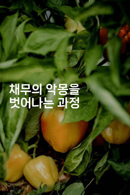 채무의 악몽을 벗어나는 과정-꿈해몽