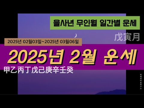 [2025년 2월 운세] 을사년 무인월 일간별 운세 #사주 #운세