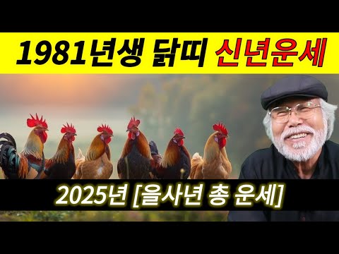 [1981년생 닭띠] 2025년[을사년] 신년 총운세 #1981년생운세 #닭띠운세 #이달의운세 #을사년 #을사년운세 #2025년운세 #신년운세 #신년운