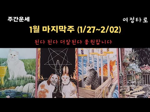 [주간운세]😀1월 마지막주 (1/27~2/02)주간운세 😀된다 된다 더잘된다 응원합니다 👍 #tarot #tarotreading #여정타로 #주간운세