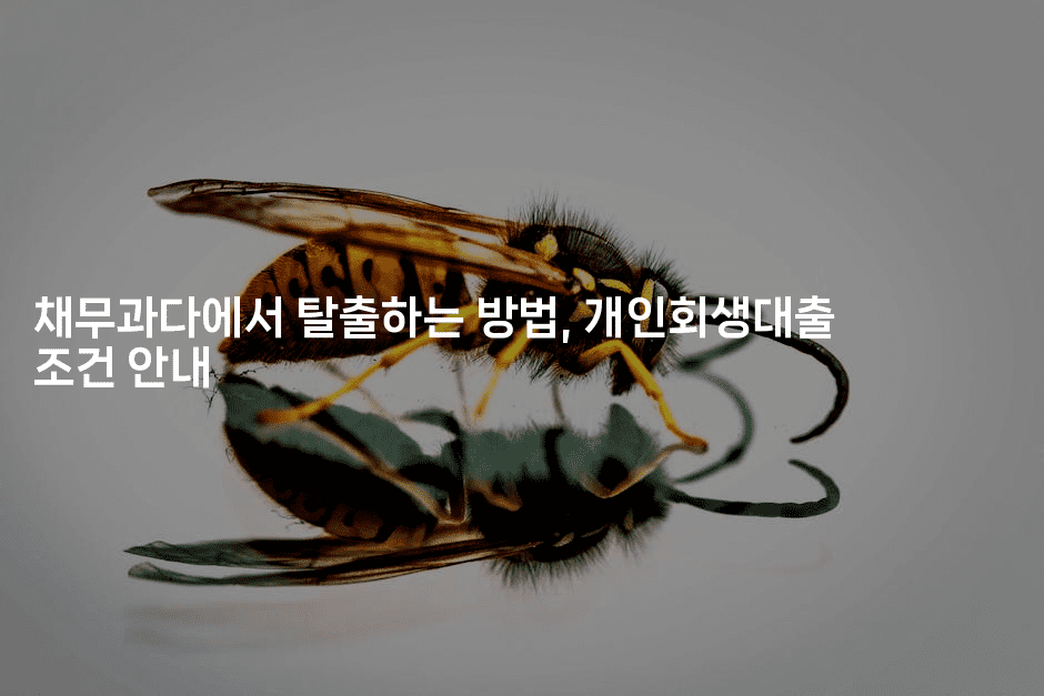 채무과다에서 탈출하는 방법, 개인회생대출 조건 안내-꿈해몽