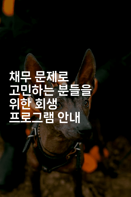 채무 문제로 고민하는 분들을 위한 회생 프로그램 안내-꿈해몽